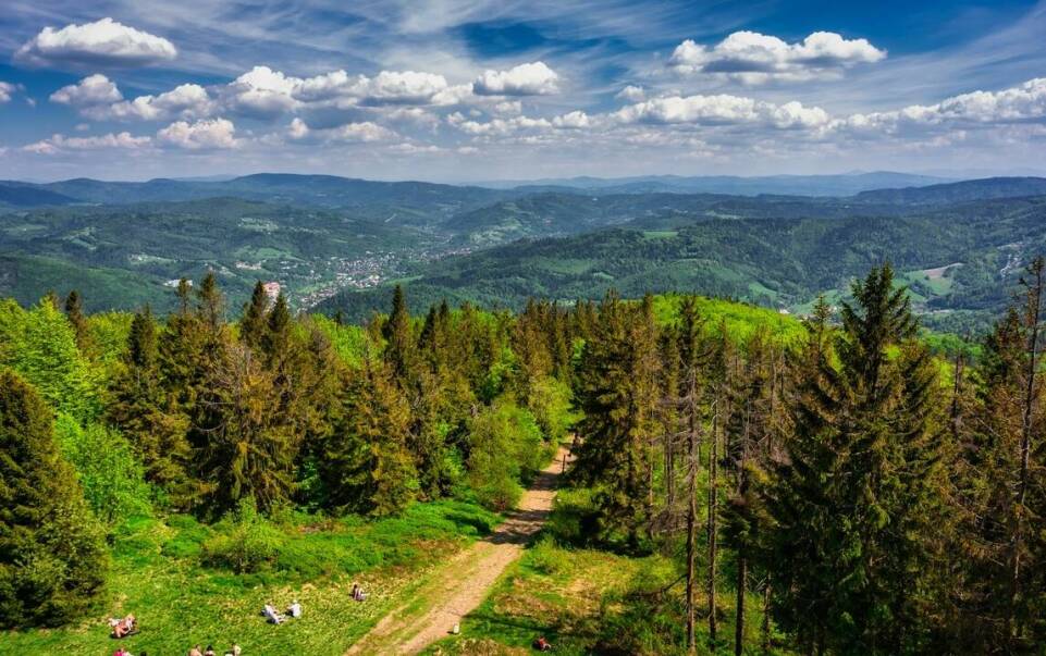 Kuligi w Bieszczadach jako część wyjazdów integracyjnych dla firm