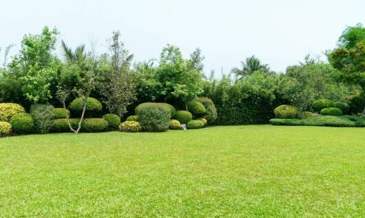 Dlaczego warto zainwestować w usługi ogrodnicze dla lepszego wyglądu otoczenia?