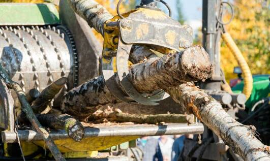 Znaczenie frezowania korzeni dla zdrowego wzrostu roślin