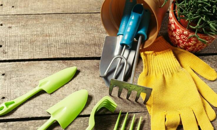 Najlepsze praktyki zakupu nasion warzyw w Gdyni - na co zwrócić uwagę?