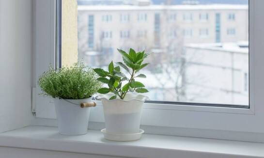 Estetyka parapetów a ich funkcjonalność – jak znaleźć złoty środek?