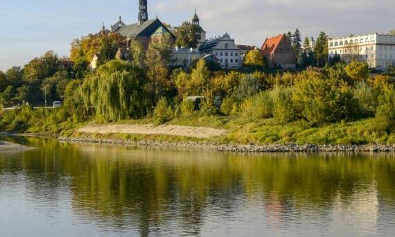 W jaki sposób uzyskać zgodę na wycinkę drzew chronionych w Krakowie?