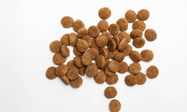 Jakie są najważniejsze cechy ekologicznych kakaowych kulek śniadaniowych?