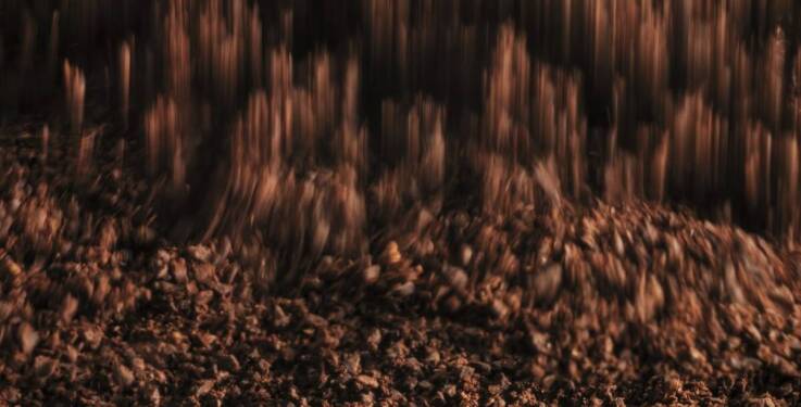 Dlaczego warto wybierać świeżo paloną kawę zamiast sklepowej?