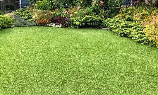 Jak trawniki z rolki wpływają na estetyczną wartość nieruchomości?