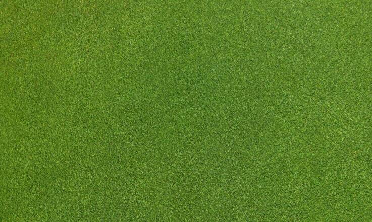 Trawa w rolce – idealne rozwiązanie dla nowoczesnych ogrodów.