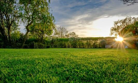 Jakie produkty do pielęgnacji są kluczowe dla skutecznej regeneracji trawnika?