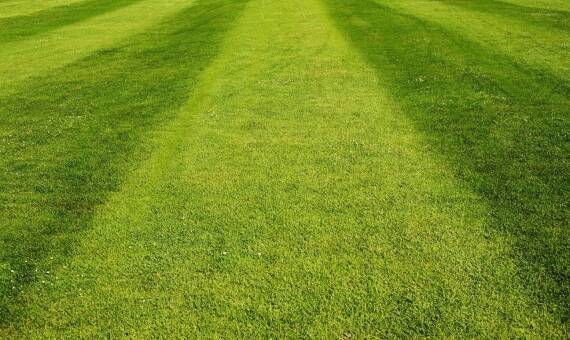 Jak sportowa trawa wpływa na jakość boiska?