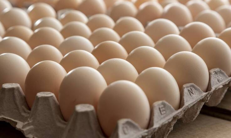 Automaty z jajkami: nowoczesne rozwiązanie dla miłośników świeżych produktów