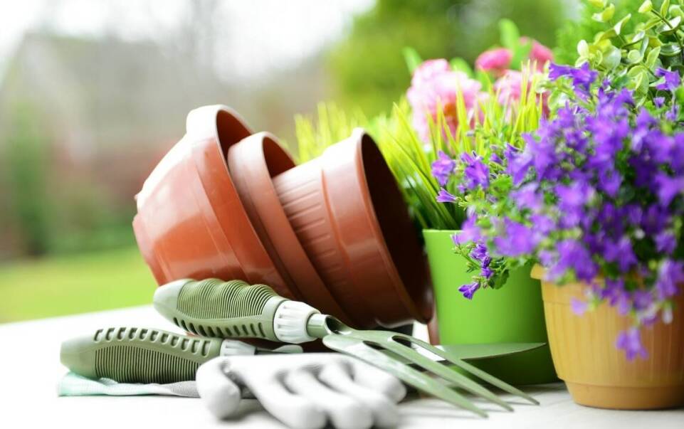 Rola doradztwa w wyborze ogrodniczego sprzętu w naszym serwisie