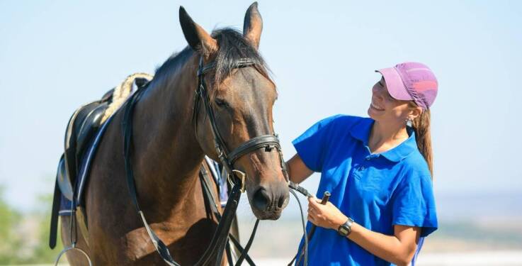 Jak lonżowanie wspiera rozwój harmonii między koniem a jeźdźcem?