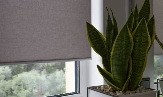 Dekoracyjne rolety i żaluzje jako element wnętrz