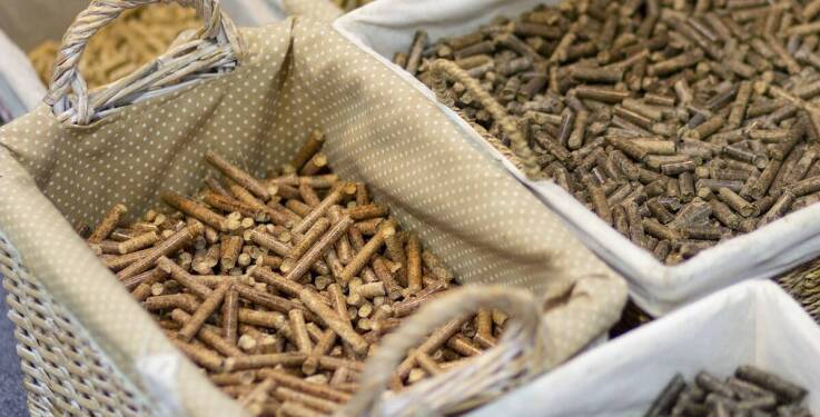 Nowoczesne paszowe dodatki dla bydła – co oferuje rynek?