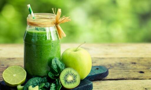 Rola probiotyków w diecie dla papug – czy warto je stosować?