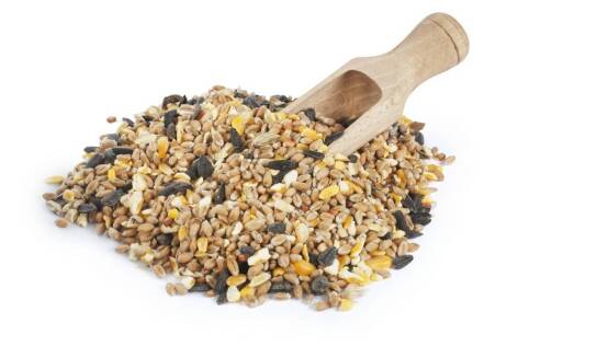 Mesz dla koni z problemami trawiennymi – jakie cechy powinien posiadać?