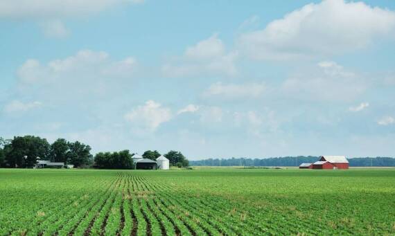 Wpływ talerzowania na zmniejszenie erozji gleby: co mówią badania?