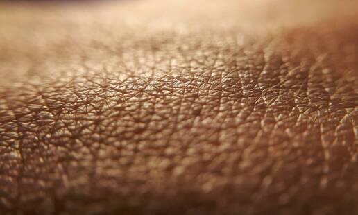 Wpływ tkankowych biostymulatorów na jędrność skóry