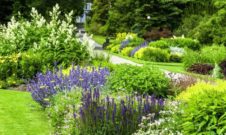 Różnorodność ozdobnych drzew i ich rola w aranżacji ogrodu