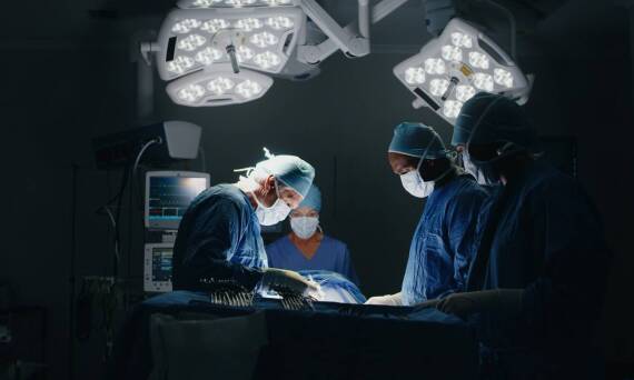 Rekonstrukcja więzadeł i ścięgien u zwierząt – jak przebiega proces leczenia?