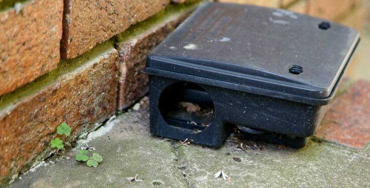 Wpływ technologii na rozwój nowoczesnych żywołownych pułapek