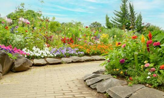 Szkółka roślin: jak dobrać byliny do skalnego ogrodu?