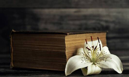 Jak flower boxy mogą wzbogacić pogrzebowe dekoracje?