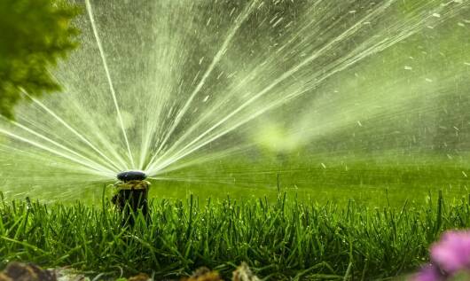 Automatyczne nawadnianie jako sposób na zwiększenie trwałości sportowej murawy