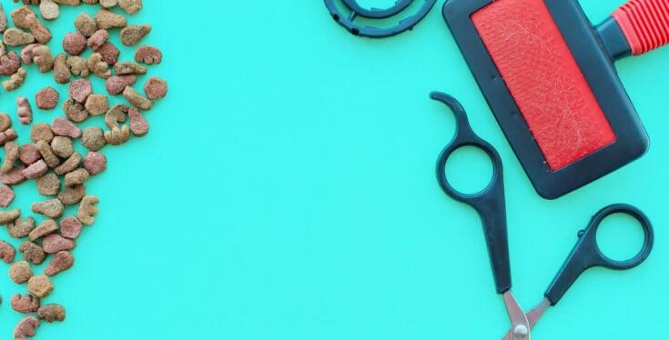 Przewodnik po pielęgnacyjnych kosmetykach dla kotów z długą sierścią