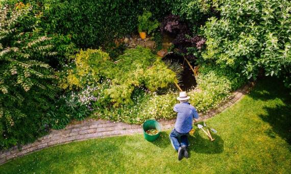 Dlaczego warto zainwestować w ogrodniczy serwis dla trwałego efektu?