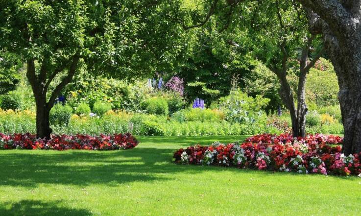 Jakie inne rośliny najlepiej komponują się z laurowiśnią w ogrodzie?