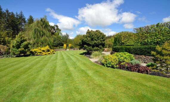 Znaczenie regularnej pielęgnacji zielonych terenów przydomowych