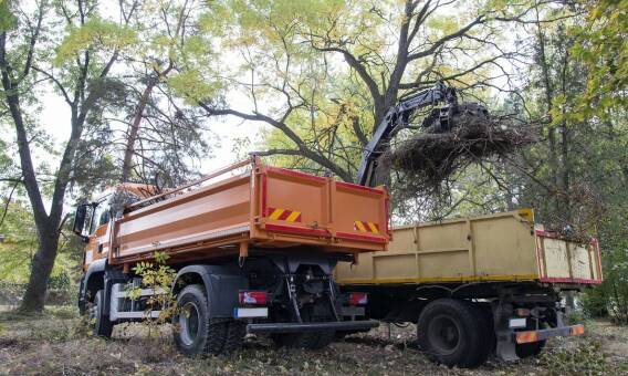 Innowacyjne metody załadunku i rozładunku w transporcie drewna