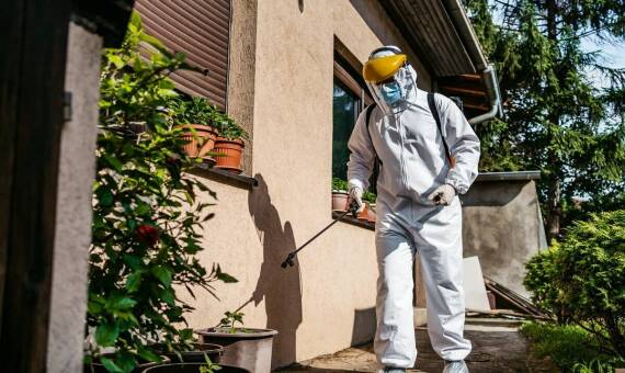 Jakie są najnowsze techniki deratyzacji stosowane przez profesjonalistów?