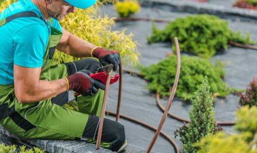 Trawniki z rolki: rola systemów nawadniania w ich długotrwałej kondycji