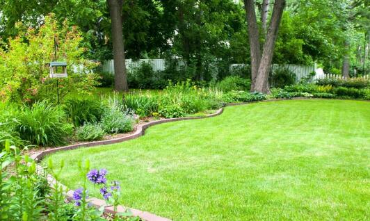 Jak producent trawników z rolki wpływa na efektywność gospodarki wodnej w ogrodzie?