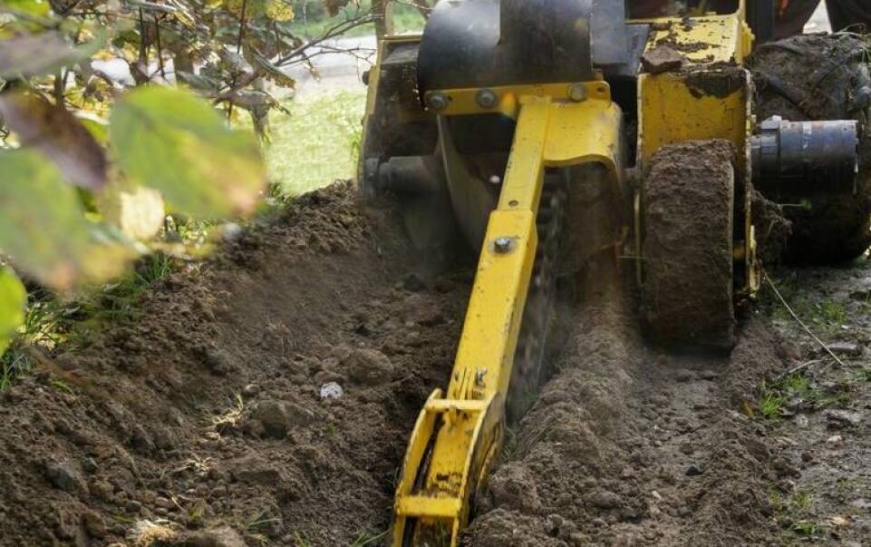 Frezowanie pni drzew jako część zrównoważonego zarządzania miejską zielenią