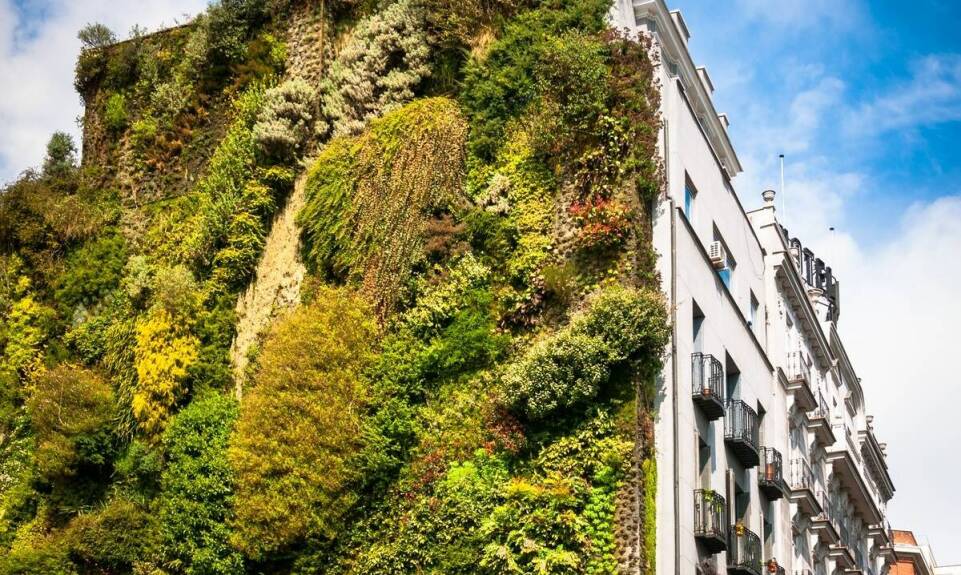 Jak ocena technicznego stanu budynku wpływa na jego rynkową wartość?