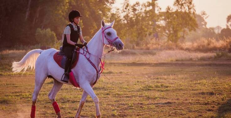 Znaczenie równowagi między treningiem a odpoczynkiem w życiu sportowych koni