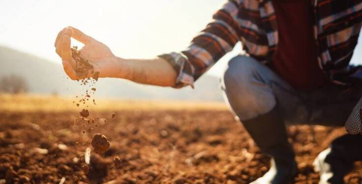 Doradztwo w zakresie badań zasobności gleby jako wsparcie dla rolników.