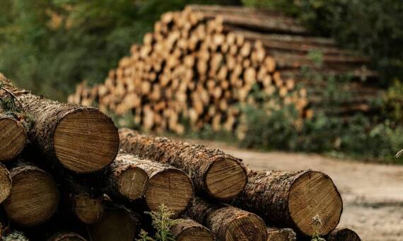 Rola tartaku w procesie tworzenia ogrodowych drewnianych konstrukcji