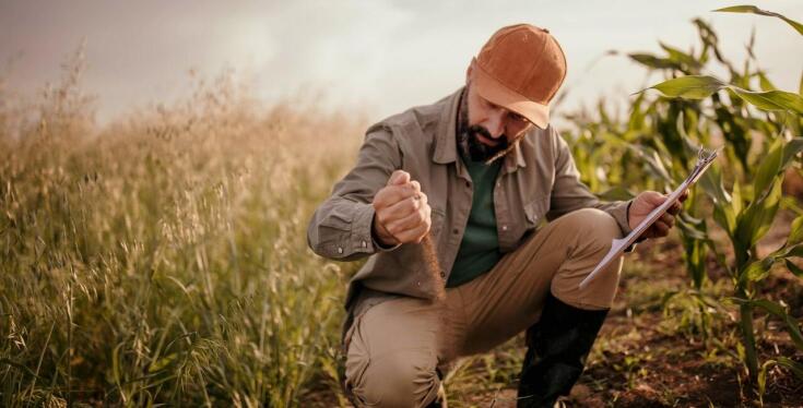 Jak rolne ubezpieczenia mogą chronić przed skutkami niekorzystnych warunków atmosferycznych?