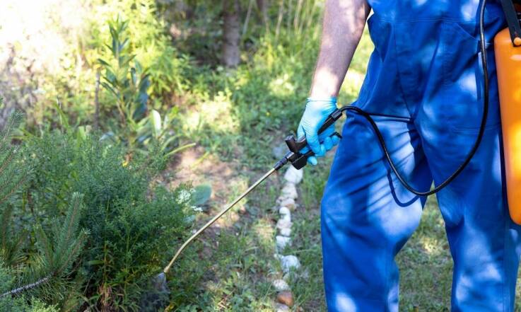 Odkomarzanie a zdrowie mieszkańców: co warto wiedzieć?