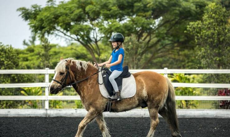Hipoterapia jako wsparcie dla dzieci z sensorycznymi zaburzeniami