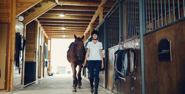 Akademia jeździectwa: Jakie korzyści przynosi grupowy trening dla koni i jeźdźców?