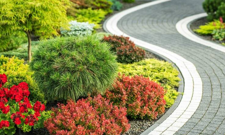 Profesjonalna pielęgnacja ogrodów w Warszawie: klucz do pięknej przestrzeni