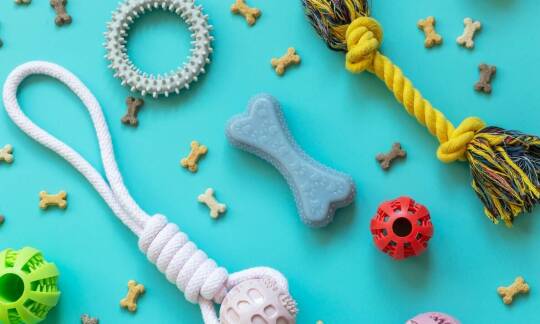 Zalety węchowej maty w codziennym życiu psa: jak poprawia jego samopoczucie?