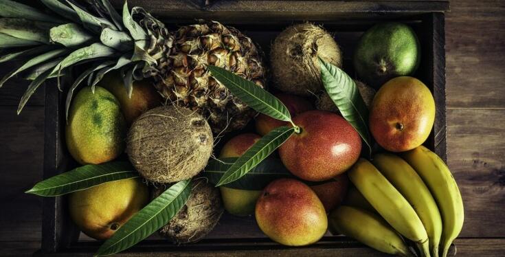 Jakie pasze wybrać dla egzotycznych gatunków zwierząt?