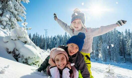 Jak specjaliści dbają o minimalizację wpływu odśnieżania na środowisko?