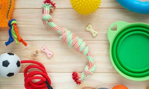 Jakie standardy bezpieczeństwa powinny spełniać gumowe węże do wody?