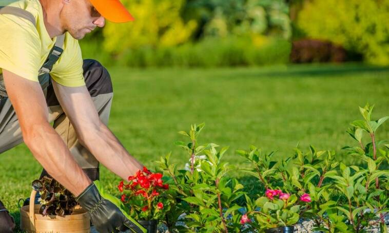 Nowoczesne techniki w projektowaniu ogrodów przez specjalistę z Rzeszowa